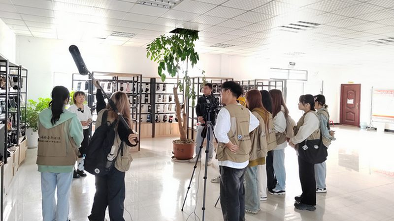 动画制作：三维与二维，一场视觉艺术的对话