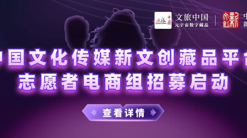 成都传媒公司案例解析：揭秘内容矩阵的成功之道